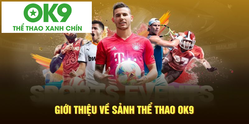 Giới thiệu chuyên mục thể thao OK9